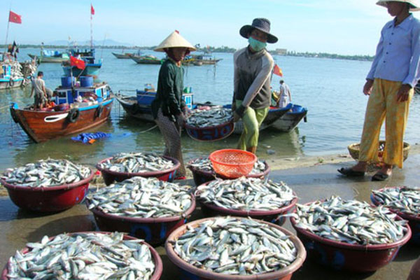 Phó Thủ tướng yêu cầu chưa cho phép khai thác hải sản tầng đáy 20 km trở vào bờ