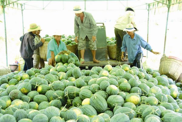 Trung Quốc vẫn là đối tác thương mại hàng hóa lớn nhất Việt Nam