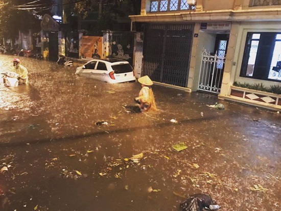 Phố Cửa Đông