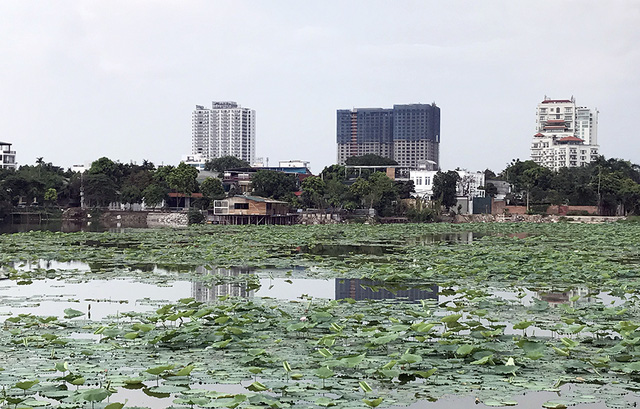 Làm rõ thông tin loạt biệt thự &quot;mọc&quot; trên đất nông nghiệp Hồ Tây
