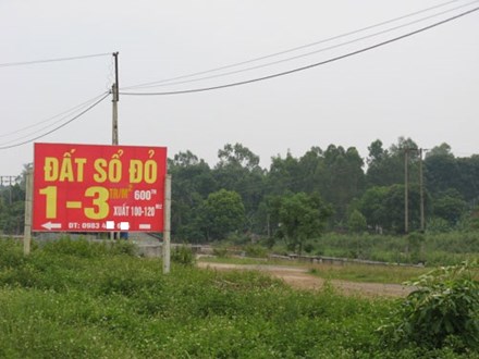 Khốn khổ vì mua đất Ba Vì &quot;đón đầu&quot; quy hoạch