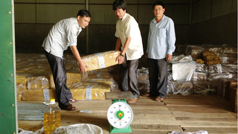 Cổ phần hóa Công ty Nông nghiệp Sông Con: Nhà nước không giữ cổ phần chi phối