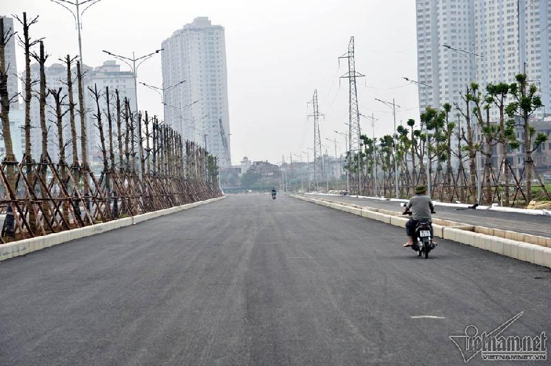 Cây xanh được trồng ở dải phân cách giữa và hai bên đường