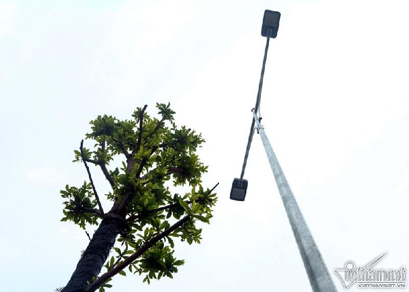 Toàn tuyến được trang bị đèn led hiện đại