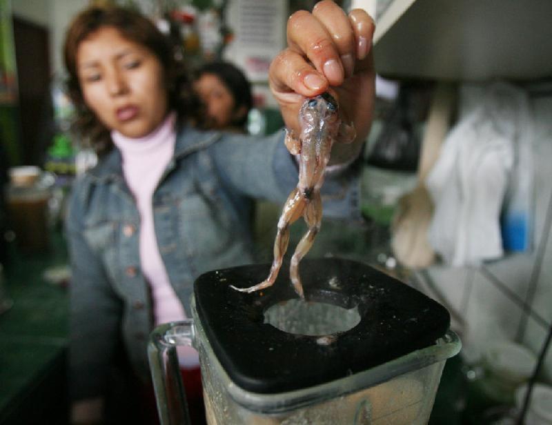 Sinh tố nhái sống (Lima, Peru): Được cho là có thể chữa các bệnh về hen suyễn và tăng cường sinh lực cho nam giới, món sinh tố này gồm nhái được lột da, làm sạch nội tạng, sau đó xay nhuyễn cùng cà rốt, rễ maca Peru và mật ong. Ảnh: This Is Insider.