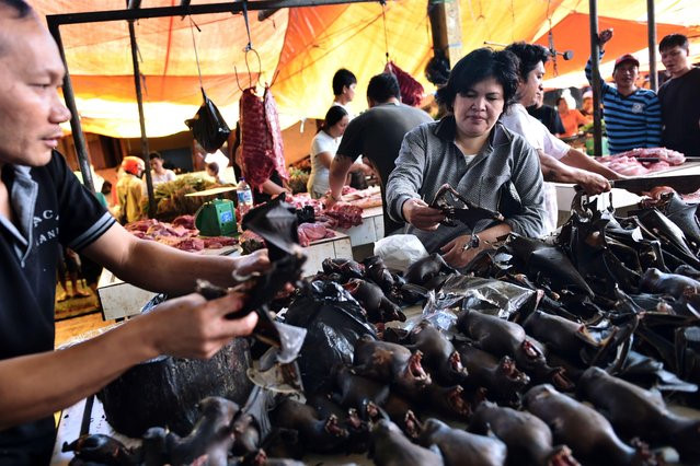 Dơi nướng (Indonesia): Dơi được coi là đặc sản và bày bán ở nhiều nhà hàng hay quán ăn vỉa hè. Dơi có nhiều kích cỡ và được chế biến thành các món khác nhau. Phần lớn các quán đều để nguyên con, tạo cảnh tượng khá đáng sợ cho những người không quen. Ảnh: Avaxnews.