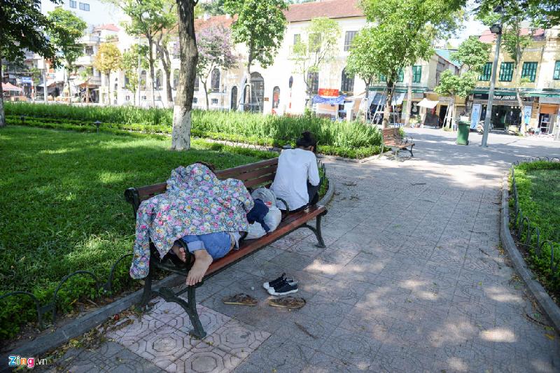 Hay ngủ ngay trên ghế quanh công viên.