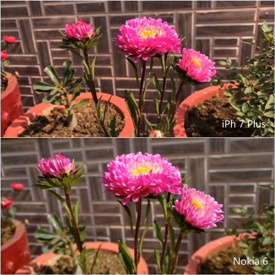 Ảnh chụp từ camera chính cho chất lượng khá tốt trong phân khúc giá, ở điều kiện ánh sáng đầy đủ ảnh cho màu sắc chân thực, độ chi tiết tốt và tỷ lệ nhiễu hạt khá thấp khi chụp thiếu sáng. Đối với camera trước của Nokia 6 cũng rất nổi bật với hình ảnh sắc nét, đủ tốt để chia sẻ với bạn bè và chia sẻ trên mạng xã hội. 