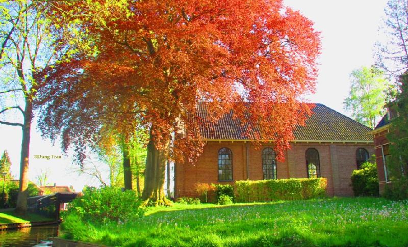 Ở Giethoorn, âm thanh to nhất bạn có thể nghe là tiếng quàn quạc của bầy vịt đang bơi dưới mặt nước, hoặc tiếng kêu của các loài chim khác thi thoảng vỗ cánh bay qua đỉnh đầu.