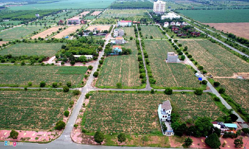 Biệt thự, nhà phố 'bị bỏ quên' ở đô thị cách Sài Gòn 20 km hình ảnh 7 Nổi bất nhất của tình trạng chủ đầu tư