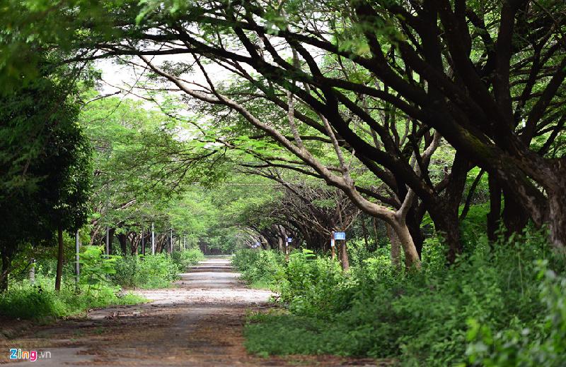 Biệt thự, nhà phố 'bị bỏ quên' ở đô thị cách Sài Gòn 20 km hình ảnh 18 Chuyên gia bất động sản cho rằng các dự án khu đô thị ở Nhơn Trạch là hậu quả của việc đầu tư tràn lan, không sát với nhu cầu về nhà ở trên thị trường. Nhiều chủ đầu tư đăng ký dự án với mục đích “xí chỗ”. Việc đăng ký đầu tư tràn lan này khiến quy hoạch Nhơn Trạch có quá nhiều dự án ảo, nhiều nhà đầu tư không đủ năng lực, điều kiện để thực hiện.