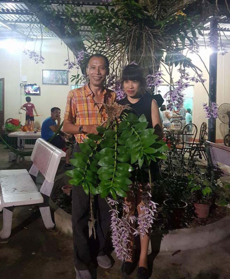 Gặp khách quý, Thương Huyền mua lan của những người gần đó tặng, chứ không bóc lan từ vườn