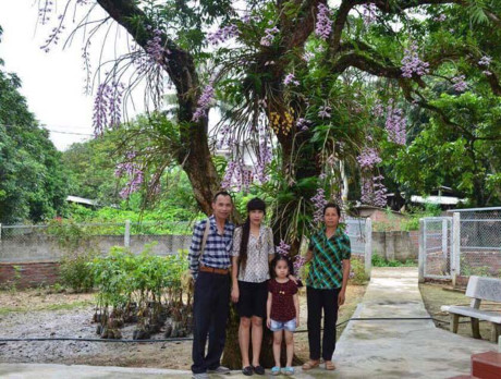 Anh Trần Tuấn - người được coi là Hiệp sĩ tầm lan, Vua lan Hà thành, tham quan vườn lan huyền thoại, chụp ảnh cùng Thương Huyền và bà Nguyễn Lâm Hương