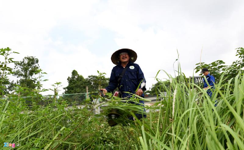 Hoạt động được triển khai từ những ngày đầu tháng 7 với số lượng công nhân khá hạn chế và chỉ trong khu vực thảm cỏ, vườn hoa trang trí đầu đại lộ Thăng Long (phía quận Nam Từ Liêm).