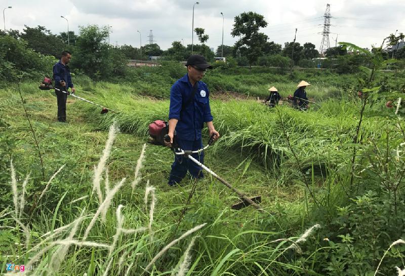 Các công nhân cho biết họ sẽ dọn dẹp cỏ dại mọc trong khuôn viên thảm cỏ rộng lớn nằm trong dải phân cách từ đầu đại lộ đến hết đoạn cầu sông Nhuệ và chưa có kế hoạch làm việc tiếp sau đó.