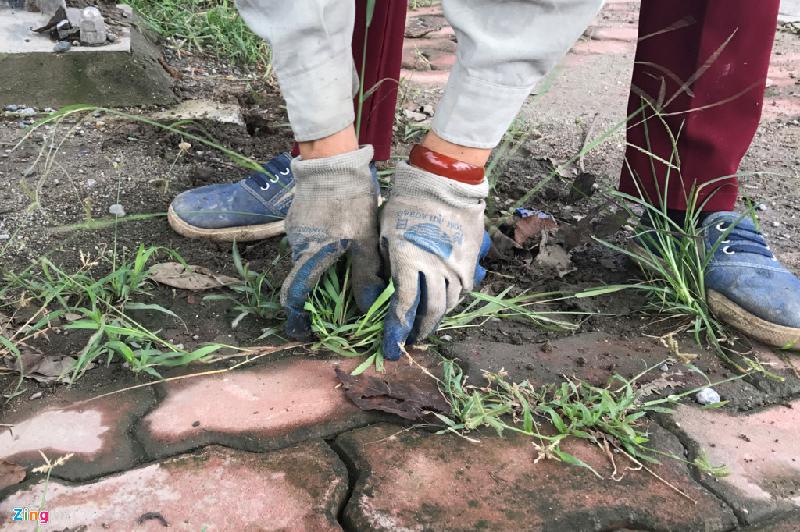 Các chị em thuộc đơn vị U7 (Công ty Cầu Diễn, trực thuộc Cty Môi trường Đô thị Hà Nội) cho biết họ cũng mới triển khai kế hoạch dọn dẹp vỉa hè và lòng đường đại lộ được vài ngày gần đây.
