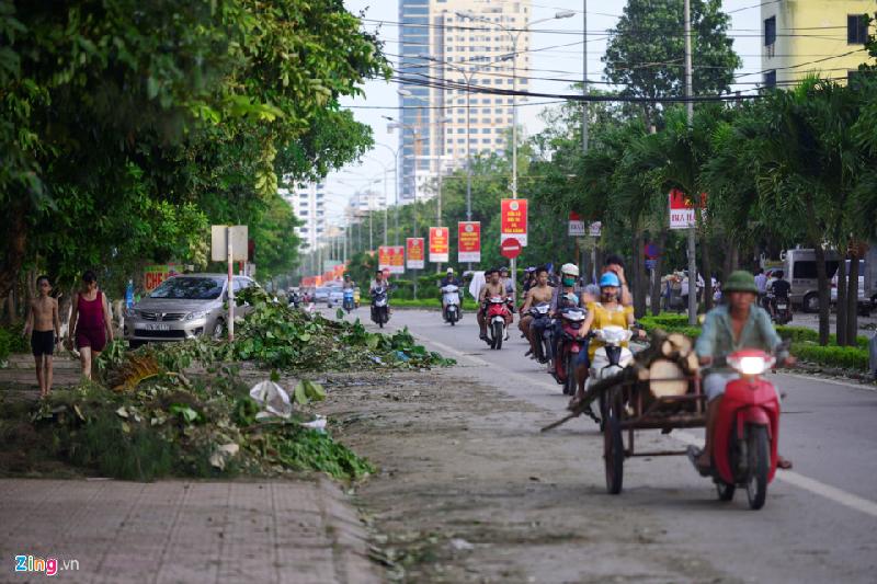 Cửa Lò như 'bãi chiến trường' sau bão số 2 hình ảnh 2 Dọc tuyến đường Bình Minh (trục đường chính của biển Cửa Lò), cảnh tượng cây cối gãy đổ tràn ngập.