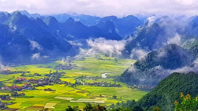 du lịch, du khách, mùa lúa chín