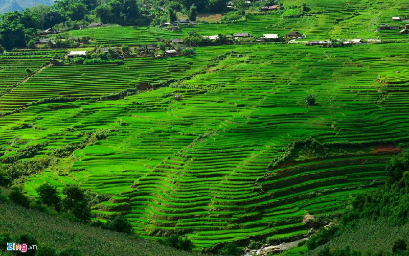 Trên đường đến hang Háng La, bạn sẽ đi qua những thửa ruộng bậc thang trùng điệp của người Mông ở bản Làng Sang, xã Nậm Khắt.