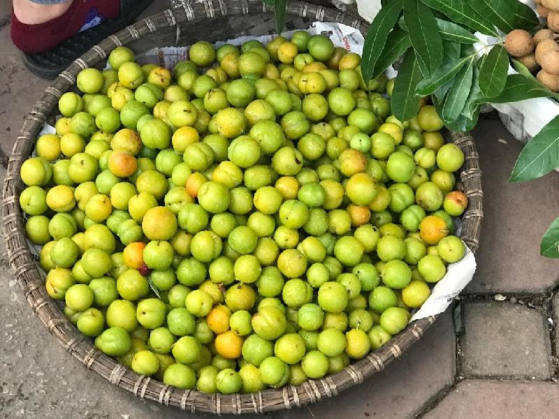 Mận cơm đường Trung Quốc đang xuất hiện tràn ngập chợ