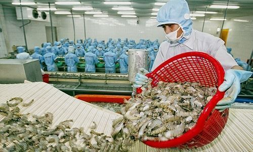Lệnh ngừng nhập tôm sống sắp hết hiệu lực, Úc ra điều kiện mới