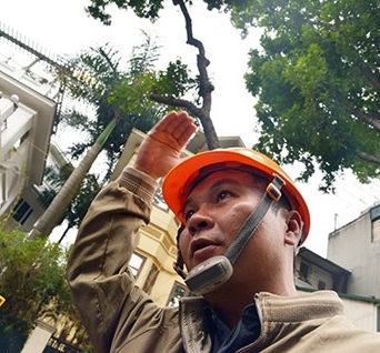 Công ty cây xanh