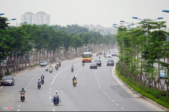 Cây xanh trồng trên đường Võ Chí Công