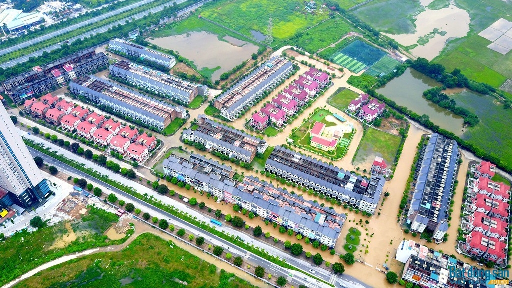 Khu đô thị Geleximco Lê Trọng Tấn là một trong những dự án lớn nhất phía Tây Thủ đô. Tuy nhiên, những năm gần đây, dự án này được biết đến với hàng trăm căn biệt thự triệu USD đang bị bỏ hoang, cỏ mọc um tùm, các hộ dân tận dụng thành nơi trồng rau, nuôi gà... Đặc biệt, sau những trận mưa lớn, cả Khu đô thị lại chìm trong biển nước.  