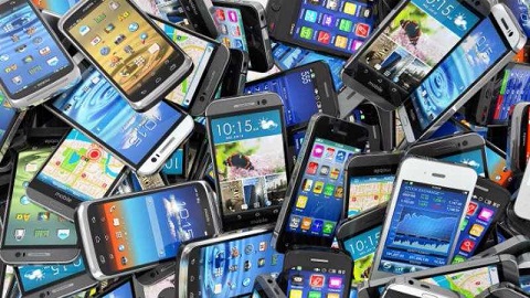 Cách giúp &quot;dế&quot; tránh nóng trong mùa hè