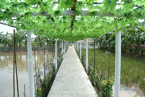 Đường vào nhà hàng Hương Quê
