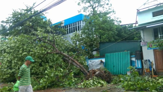 Tìm kiếm 9 thuyền viên mất tích trong bão số 2