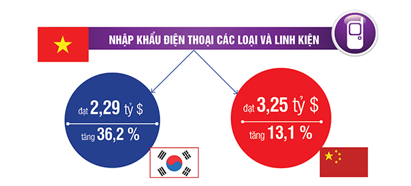 Đồ họa: Ngọc Hoa