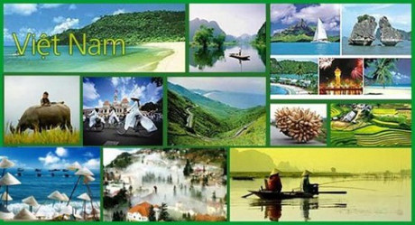 Ảnh minh họa từ internet