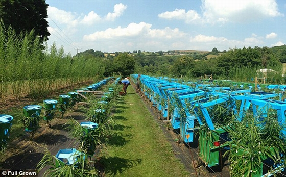 Cánh đồng Derbyshire - nơi 