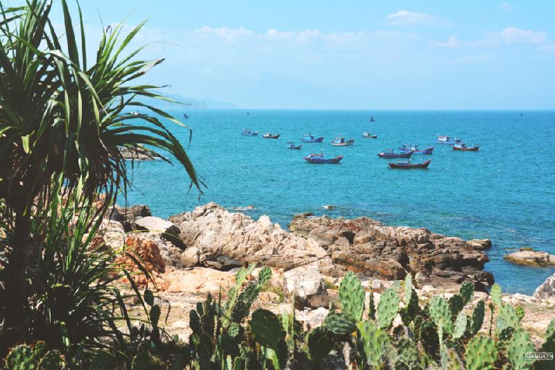 Mùa hè rực lửa trên cung đường biển đẹp nhất Việt Nam