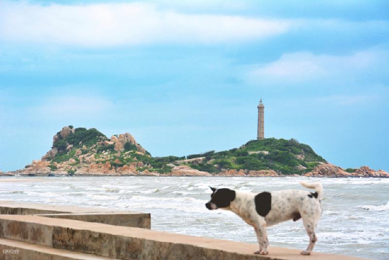 Hành trình bắt đầu từ Vũng Tàu, nhưng phần lớn dân đi đều chọn xuất phát từ TP.HCM. Qua đèo Nước Ngọt (Bà Rịa - Vũng Tàu), hãy chuẩn bị tinh thần để đón những ngày hè rực lửa. Một trong những điểm đến không thể bỏ qua đầu tiên là hải đăng Kê Gà - ngọn hải đăng cổ nhất Việt Nam tại Bình Thuận.