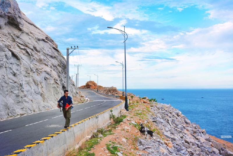Ở vùng “gió như Phan, nắng như Rang”, không khó để bạn bắt gặp đàn cừu, dê nhẩn nha bên vệ đường, đôi khi con đường lại xuyên qua những vườn nho xanh mướt mát. Bạn có thể ghé mũi Dinh và đồi cát Nam Cương trên cung này.