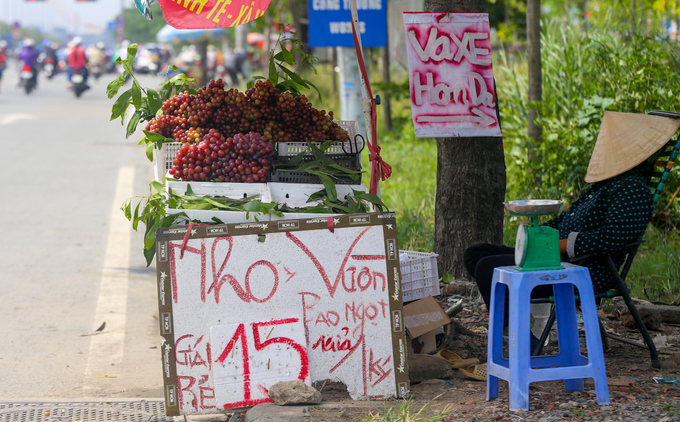 Dọc theo đường Xa Lộ Hà Nội, Phạm Văn Đồng khoảng thời gian này đang vào 
