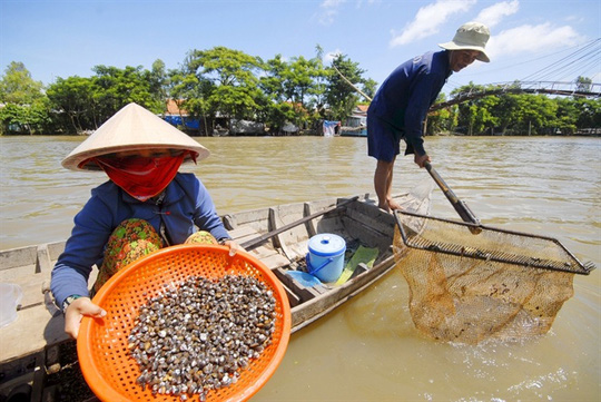Cận cảnh săn, bắt, hái, lượm mùa nước nổi - Ảnh 8.