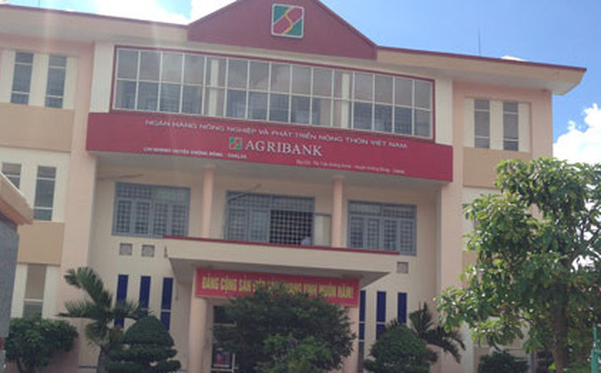 Bắt tạm giam một Giám đốc chi nhánh của Ngân hàng Agribank