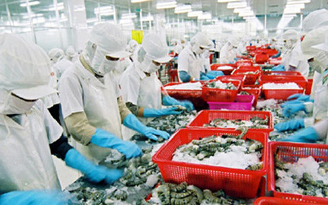 Hoa Kỳ tăng thuế chống bán phá giá đối với tôm Việt Nam