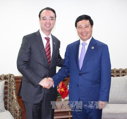 Phó Thủ tướng Phạm Bình Minh và Bộ trưởng Ngoại giao Philippines Alan Peter Cayetano. Ảnh: TTXVN