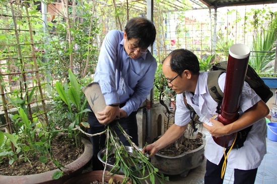Hà Nội: Vẫn còn các ổ bọ gậy, chưa kiểm soát được dịch sốt xuất huyết