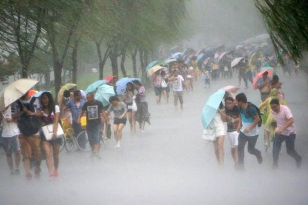 Sức gió có lúc đạt 155 km/h