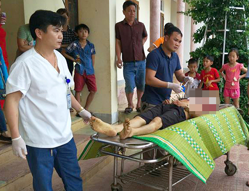 Tiêm phòng cho trâu, nhân viên thú y bị húc chết