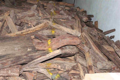 Lực lượng hải quan thu được: Gỗ Hương xẻ: 467 thanh/hộp, khối lượng 17,274 m3; Gỗ Cẩm lai xẻ: 104 thanh/hộp, khối lượng 0,364 m3; Gỗ nghi là gỗ Trắc, Cẩm: 13.406 kg