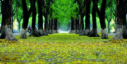 Cập nhật những điểm vui chơi thả ga cho gia đình đợt nghỉ lễ 2/9 ngay Hà Nội