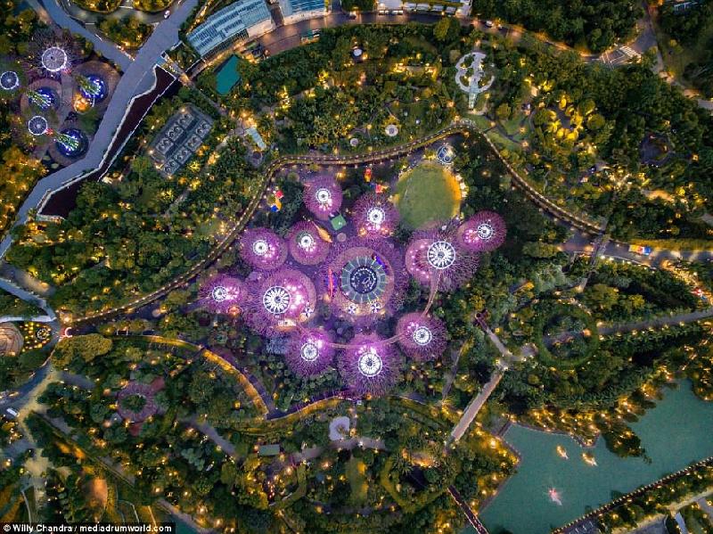 Quy hoạch của Singapore nhìn từ trên cao hình ảnh 6 Suntec City nhìn từ trên cao giống như một công trình của thế giới tương lai, nằm giữa khu vực cây cối xanh tươi, rộng lớn.