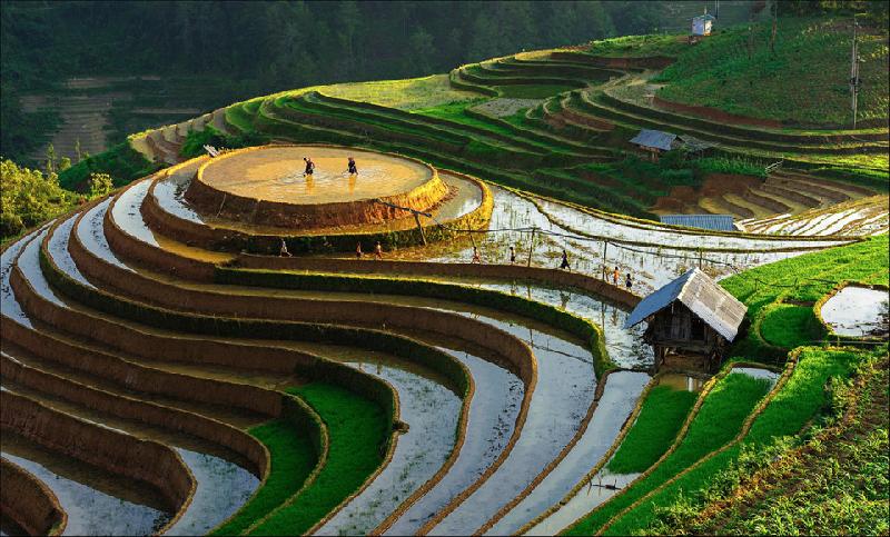 Yên Bái là vùng núi Tây Bắc có ruộng bậc thang đẹp nhất nhì Việt Nam. Vào khoảng tháng 5 khi nước trên nguồn đổ về cũng là lúc bà con nông dân nơi đây chuẩn bị cho mùa vụ mới. Ảnh: Bùi Thiên Mai.