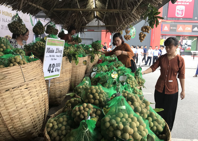 Thời điểm thưởng thức nhãn lồng Hưng Yên ngon nhất và cách nhận biết hàng thật